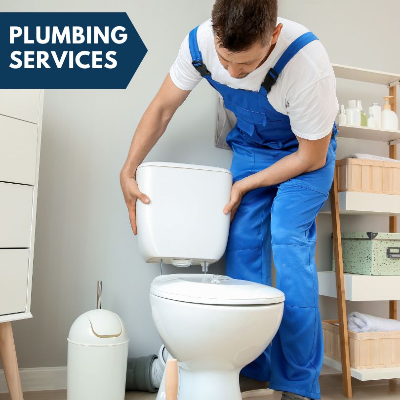 Plumbing Company in Crystal, MI